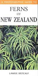A Photographic Guide to Ferns of New Zealand