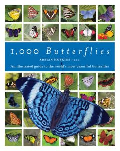 1000 Butterflies