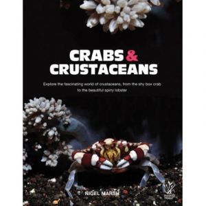 Crabs and Crustaceans   