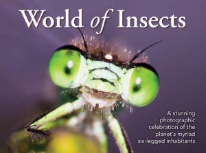 World of Insects