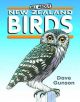 All about New Zealand Birds
