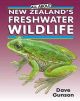 All About New Zealand's Freshwater Wildlife