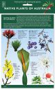 Native Plants of Australia ID Chart