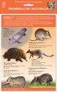 ID Chart - Mammals of Australia