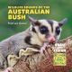 Wildlife Sounds of the Australian Bush