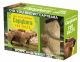 Did You Know? Capybara Gift Box