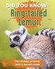 Did You Know? Ring-tailed Lemur