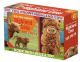 Did You Know? Highland Cow. Book with Plush Toy