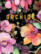 Orchids