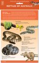 Reptiles of Australia ID Chart