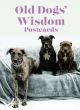 OLD DOG WISDOM POSTCARDS